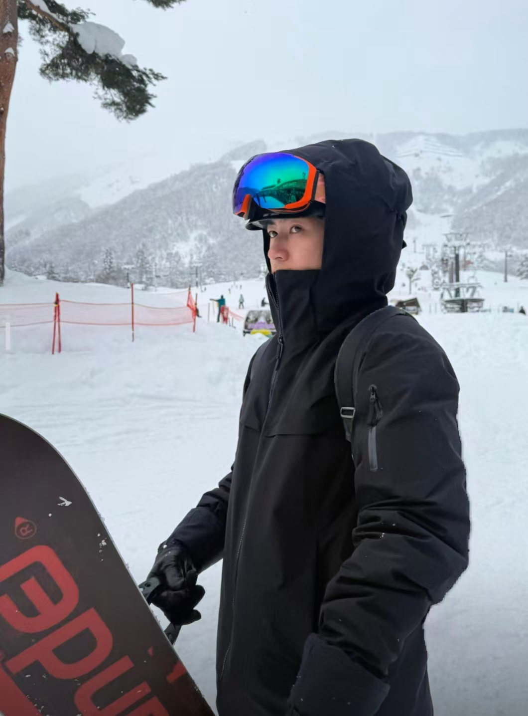 （星星)大麦菜-DMC户外防水防风防摩擦防寒连帽羽绒服 