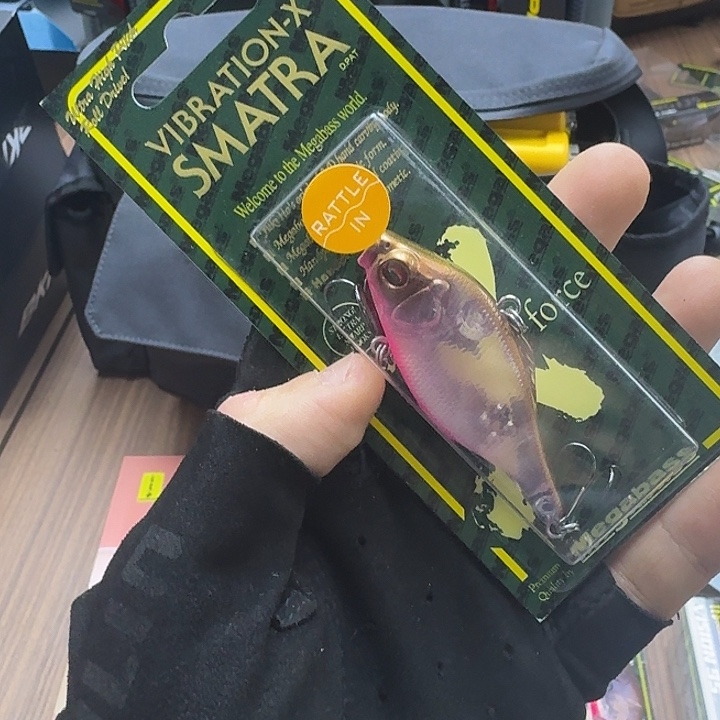 闪购专拍（图片为主）