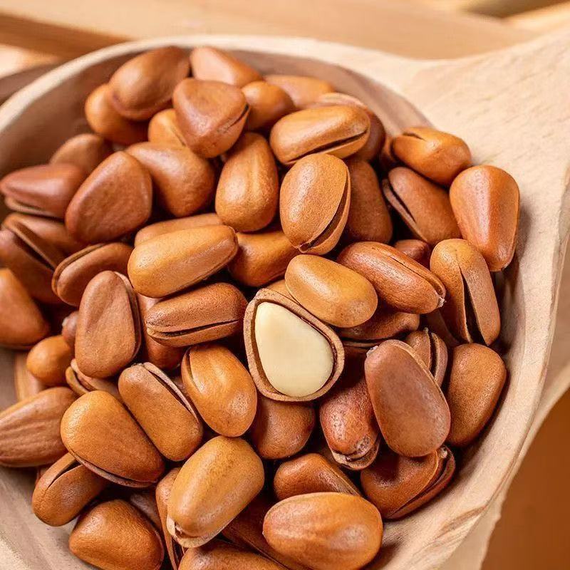 2025东北长白山红松颗粒开口手剥松子新鲜营养坚果零食