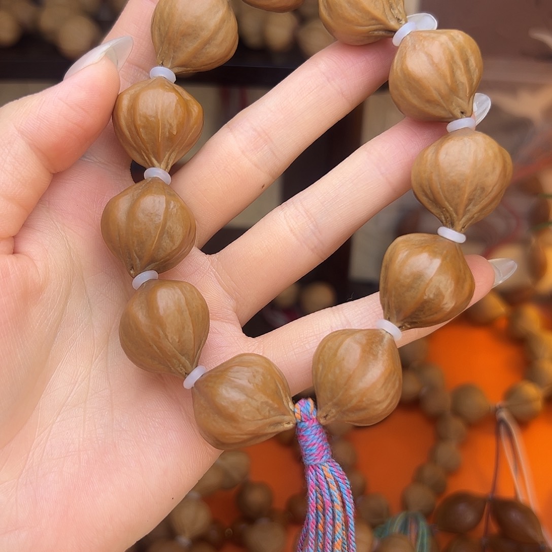四花红皮蒜头橄榄核