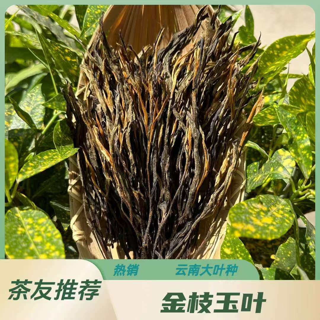 【云南古树滇红】云南大叶种金枝玉叶红茶把子茶