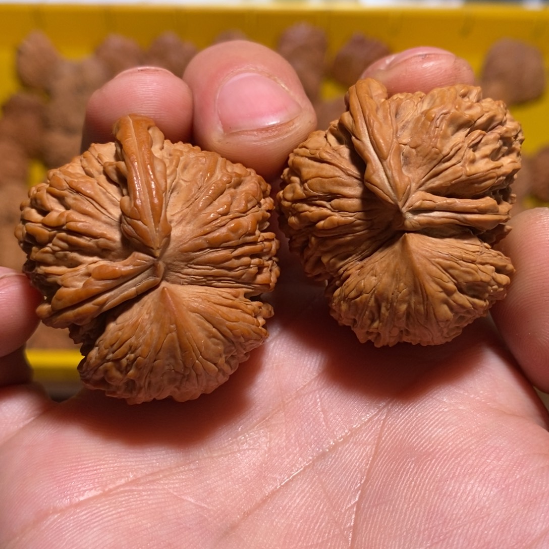 把件文玩核桃白狮子牛