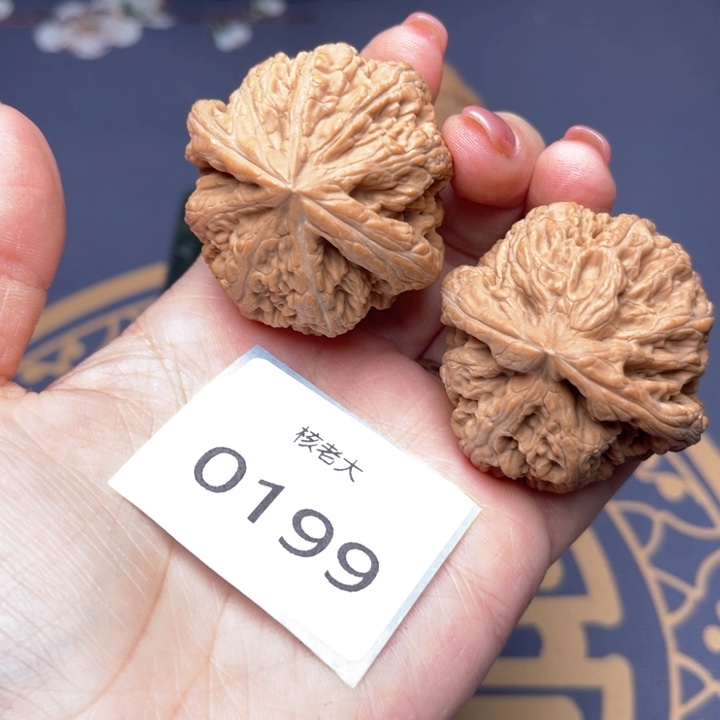 文玩核桃把件43大粗筋