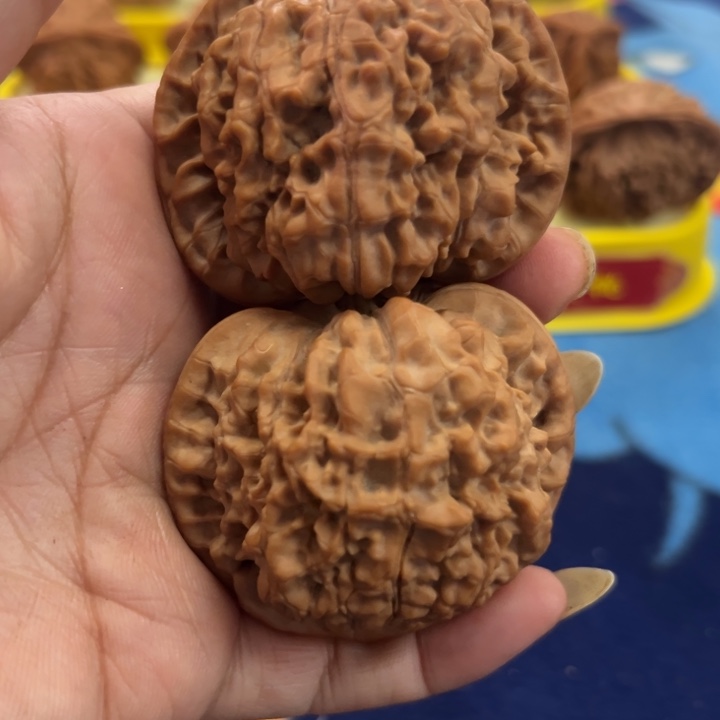 核桃50大官帽手把件