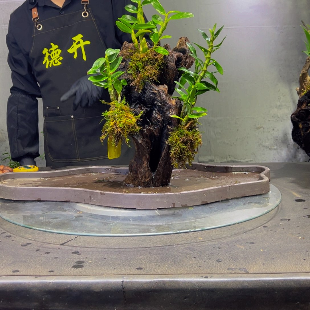 阿***戎无花朵11111111111111