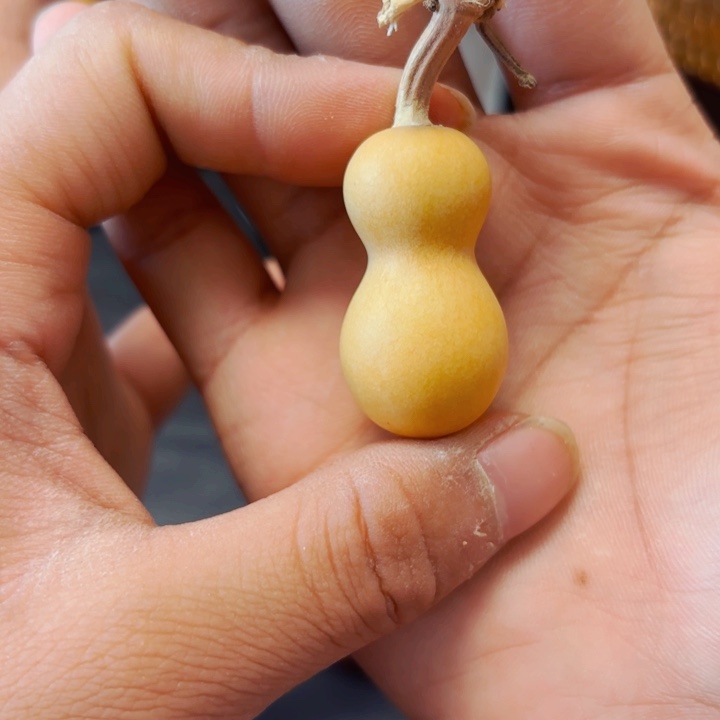 哈****厂88888888888888888