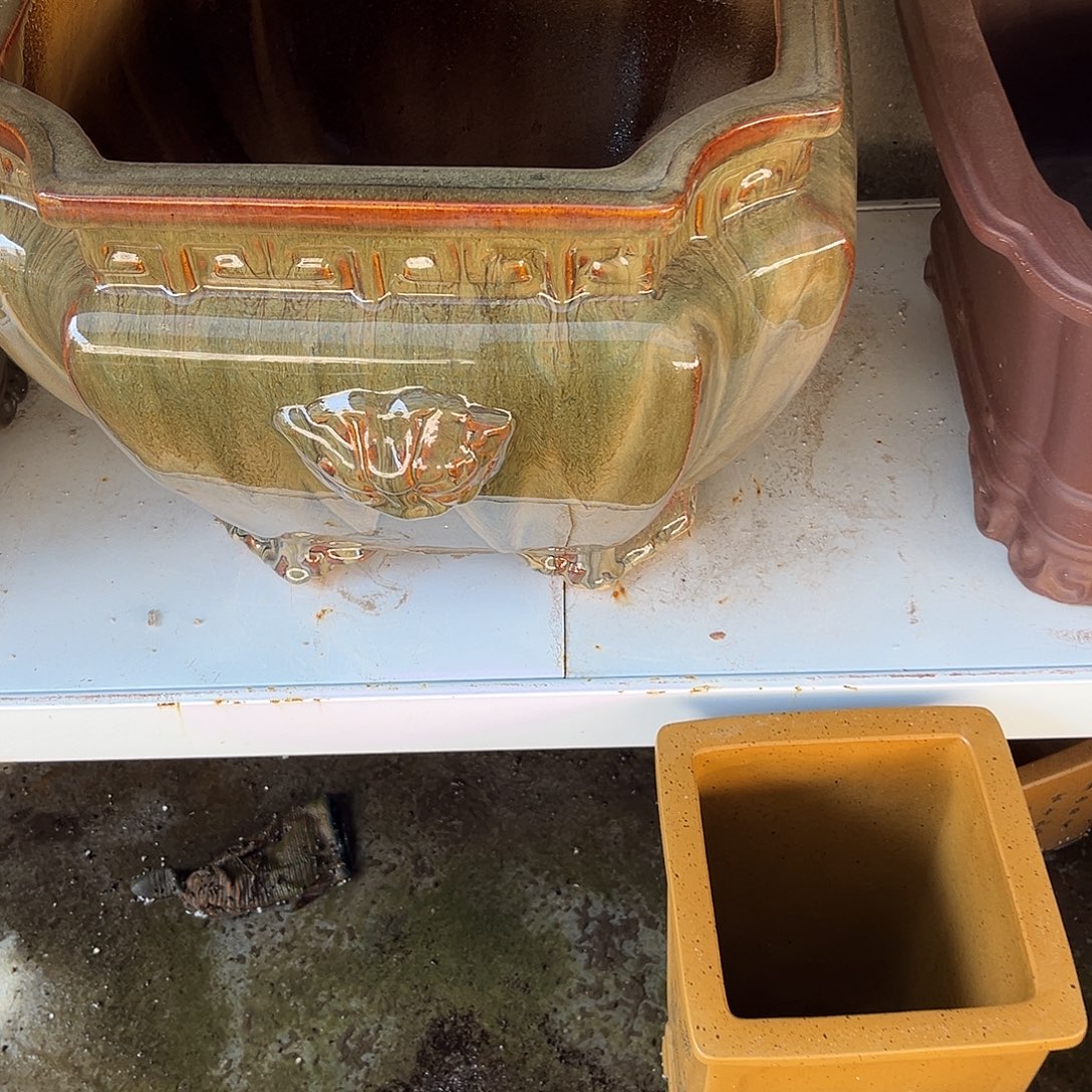 紫砂花盆盆景艺术