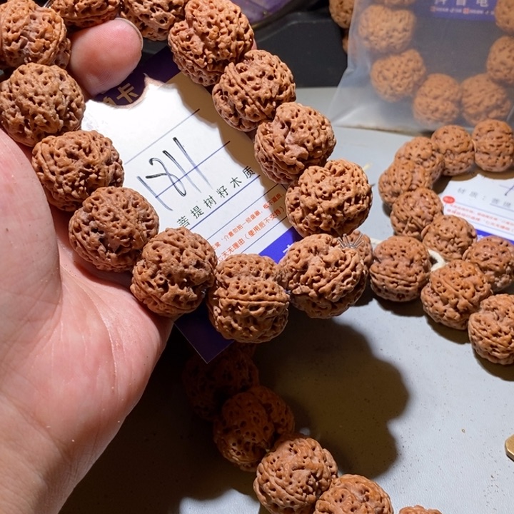 手串金刚菩提L**✨1811号尺寸25