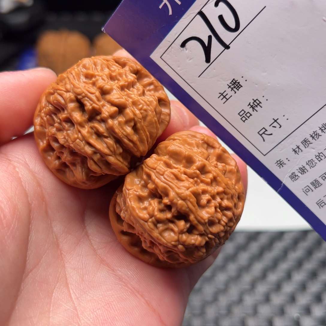 文玩核桃把件210号白狮子39