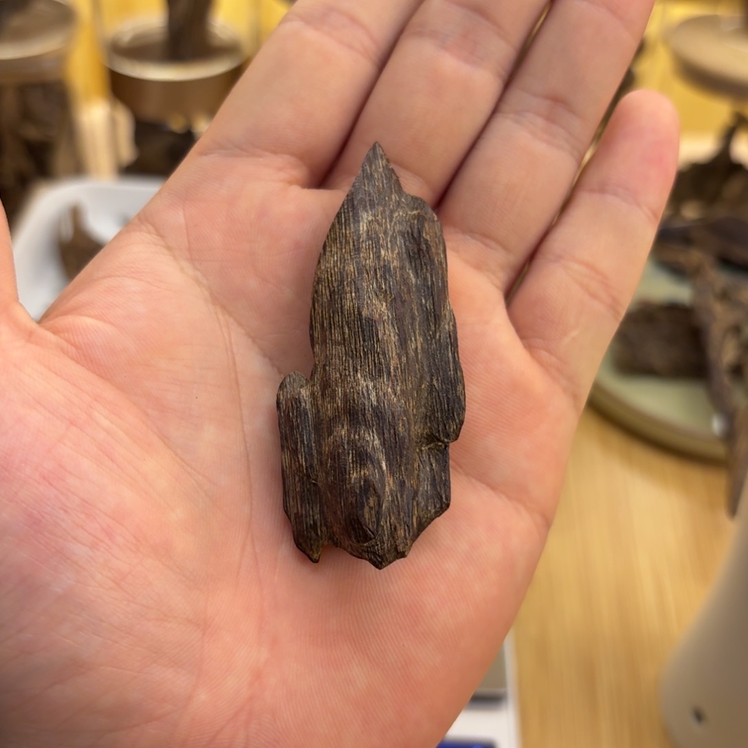 香港树心油胆5.5克