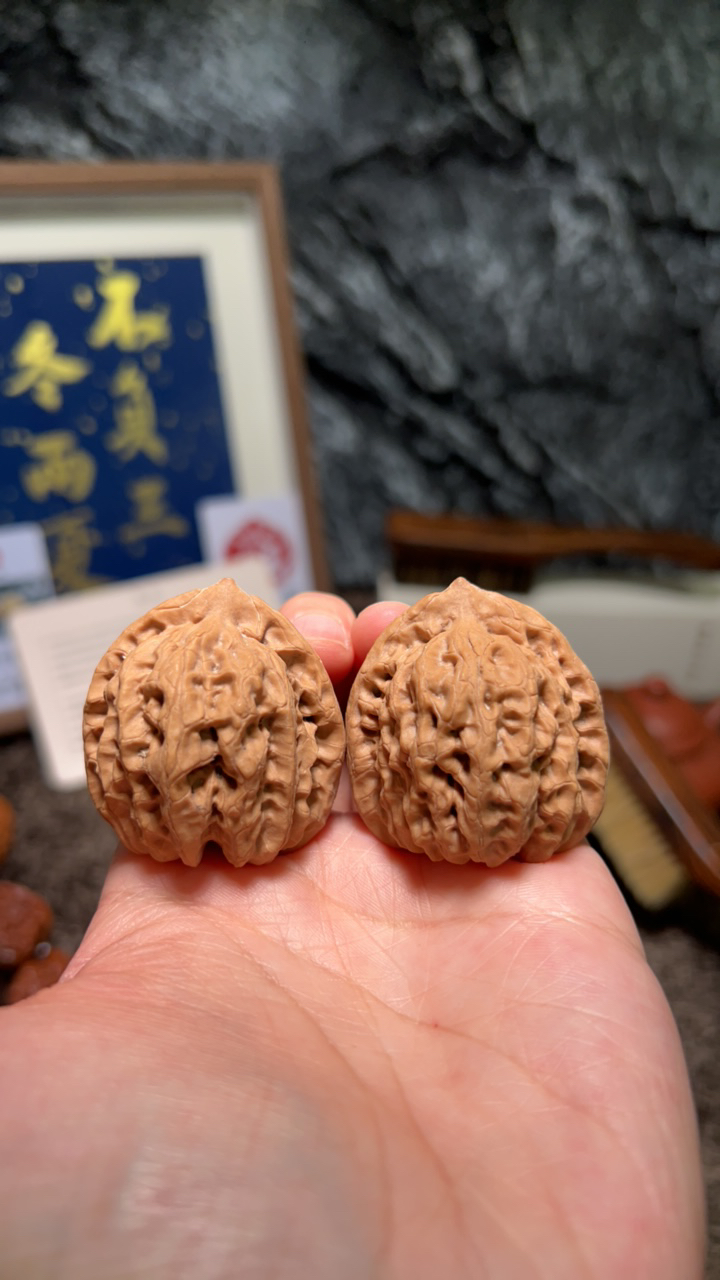 文玩核桃 非嫁接盘山佛肚 7764 号 38.5 尺寸