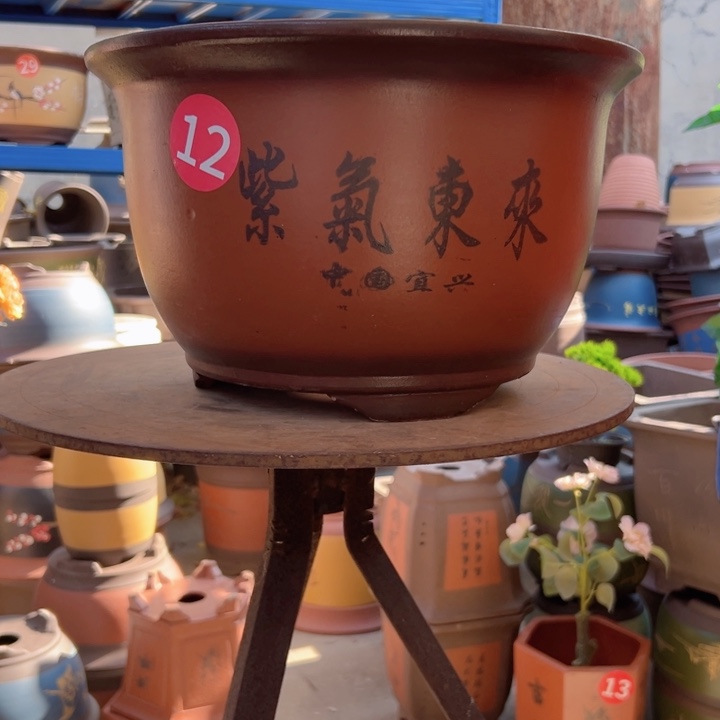 30紫气东来花盆花盆花盆花盆花盆