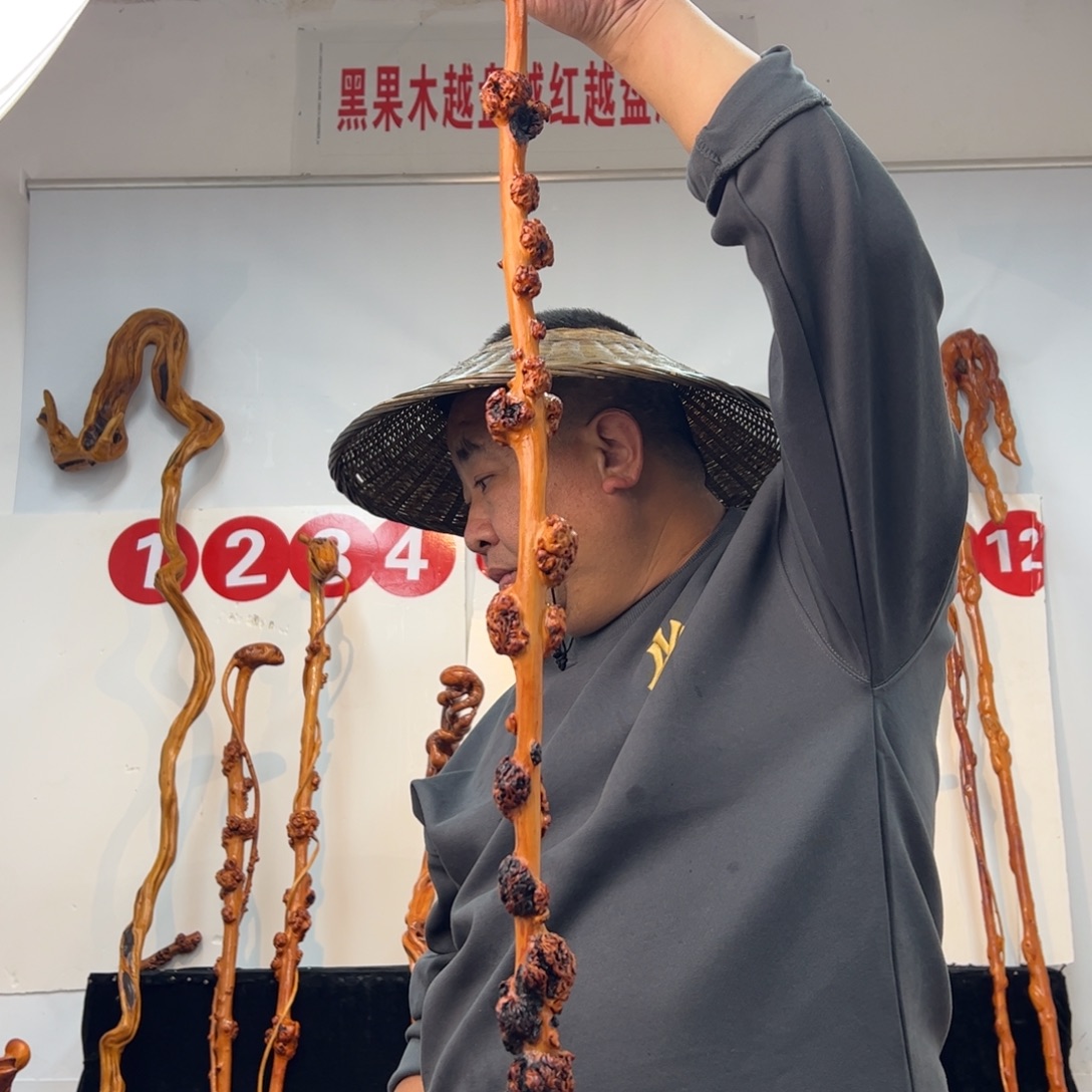 朱***峰黑果木其他黑果木839