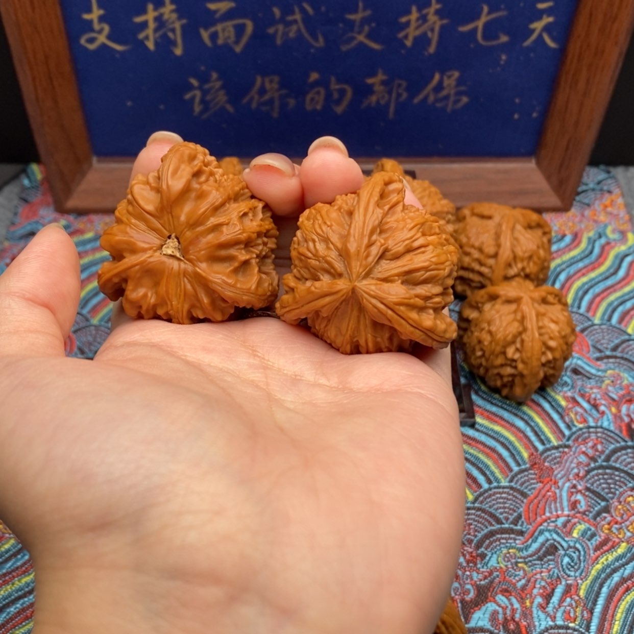 【闪购商品】Y*M白狮