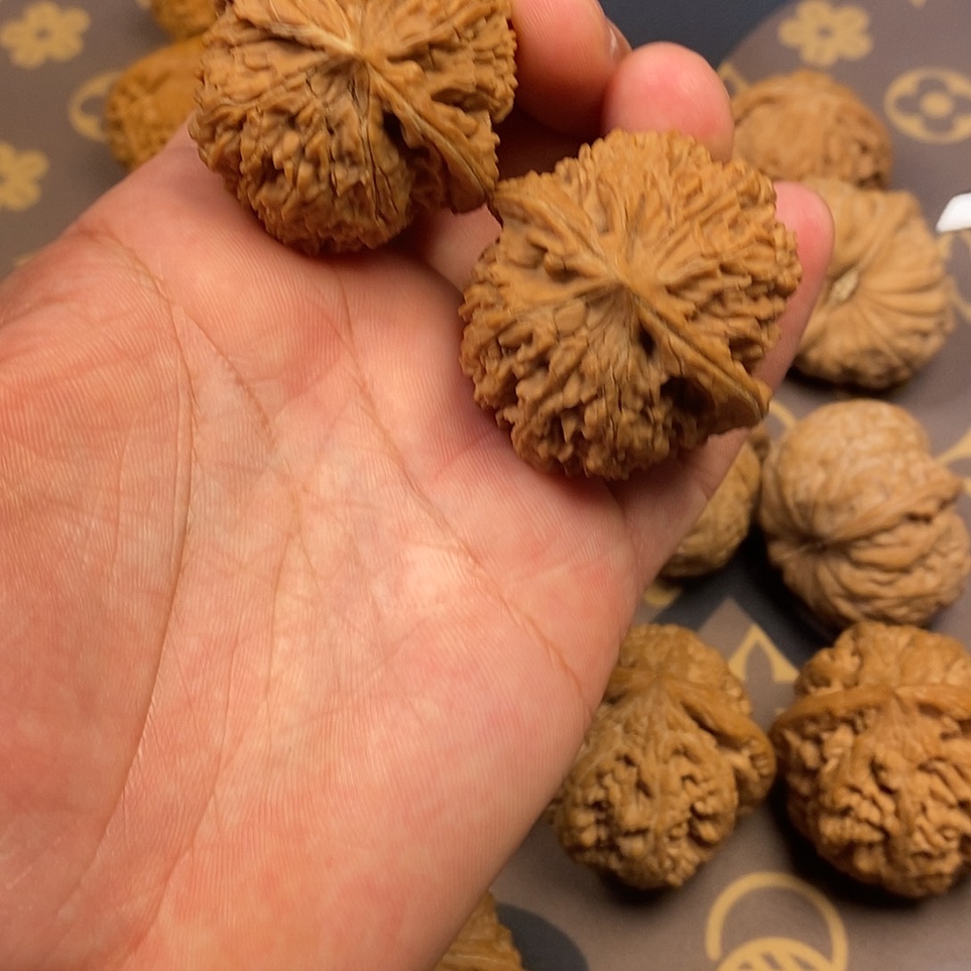 木质137红皮全品狮子头