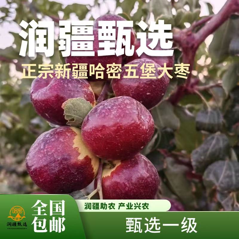 【润疆甄选】新疆五堡大枣皮薄肉厚