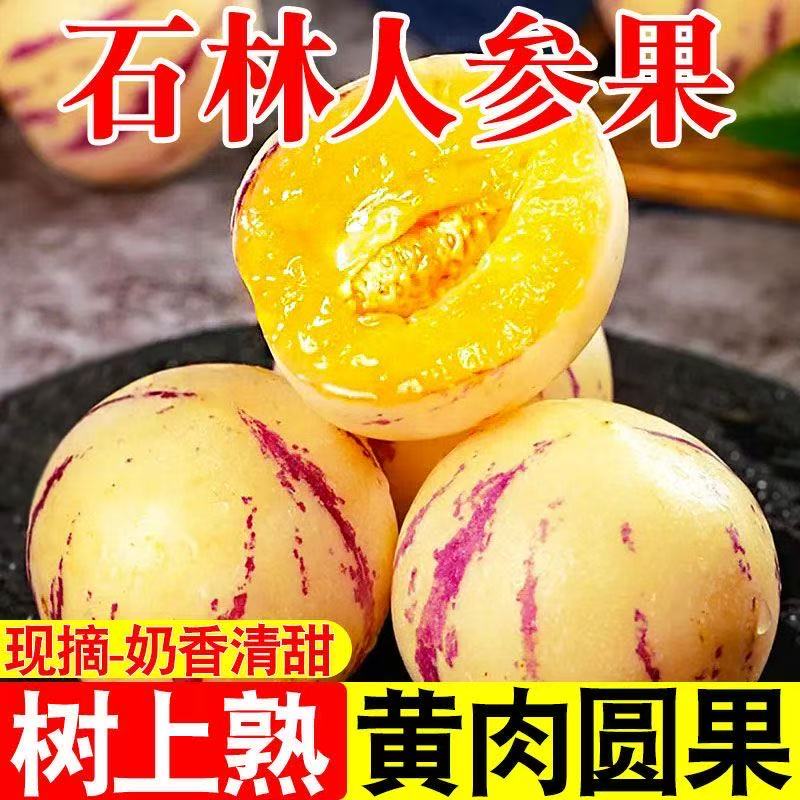 云南石林树上熟黄肉圆果果清甜多汁当季新鲜水果