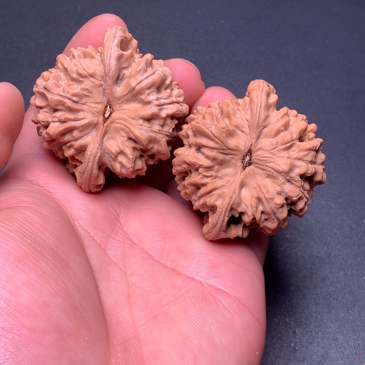 文玩核桃把件50官帽94