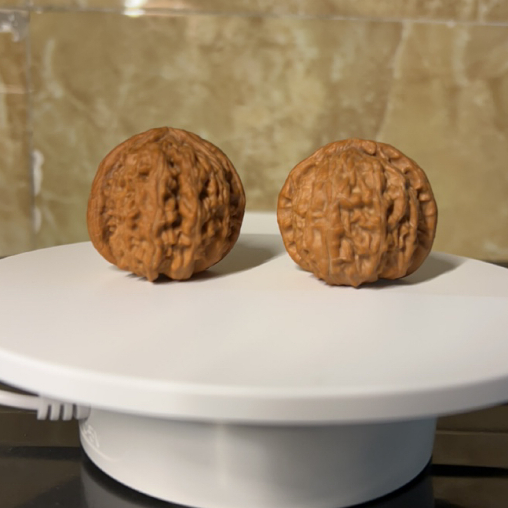 狮子头一对，白茬手工打底，重47.5g,边39.9、40.4mm，配对，全品无修