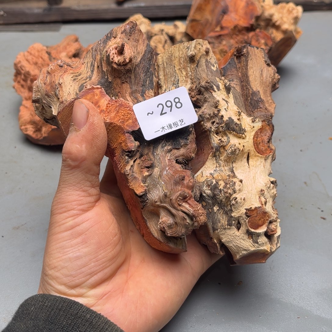 光***头无花朵0000000298