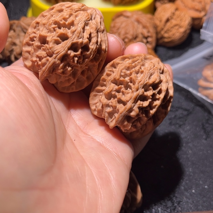 吊坠龙脊菩提山地苹果园