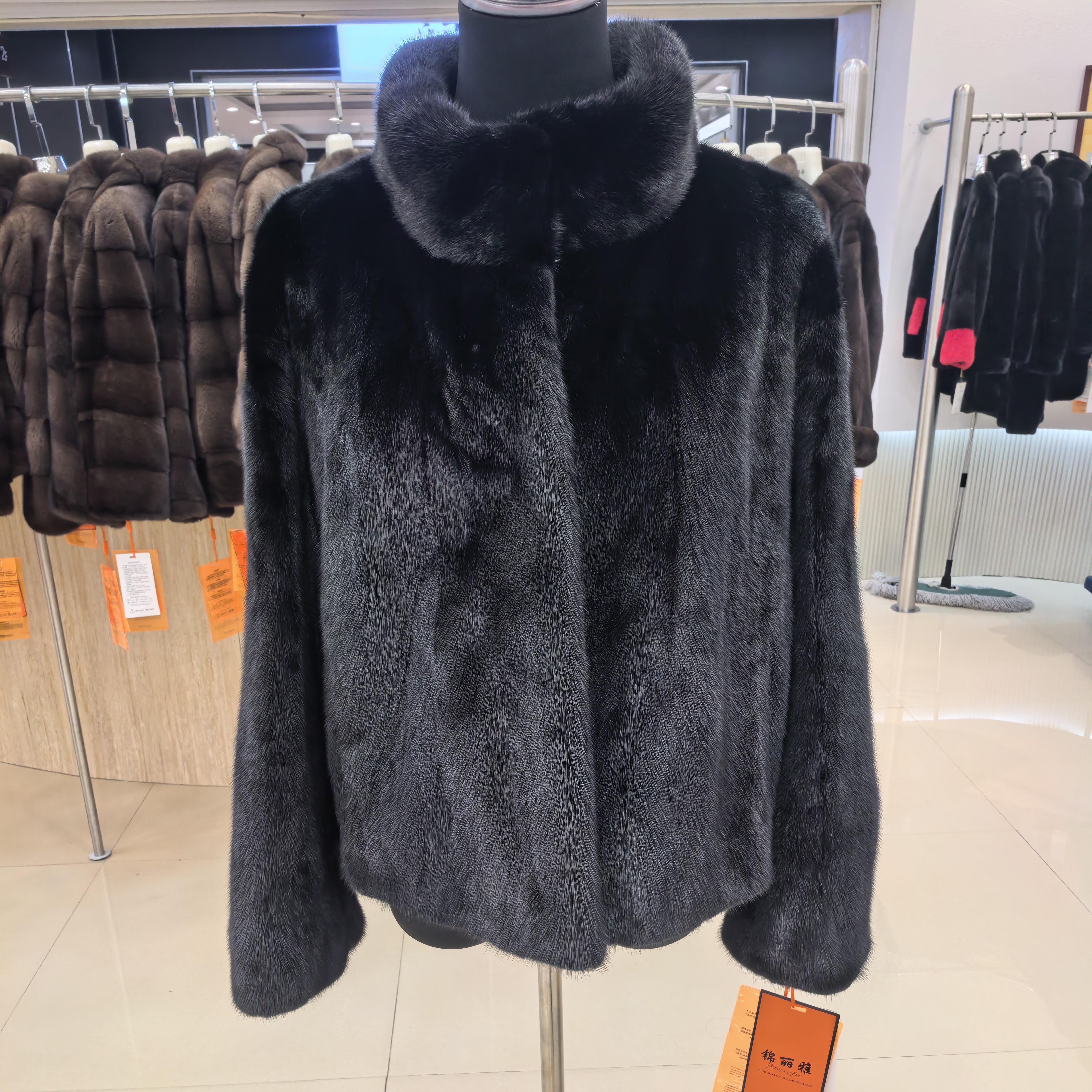 女士进口整貂立领水貂皮草外套时尚百搭保暖冬季