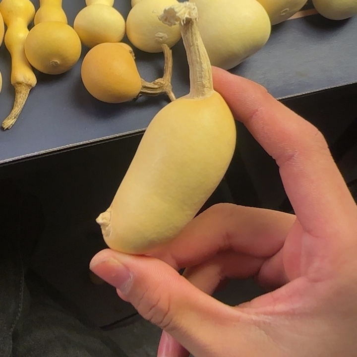 s****大叶紫檀（黑酸枝木类）