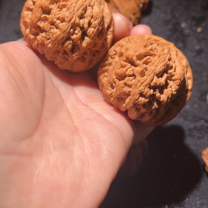 吊坠龙脊菩提大粗筋