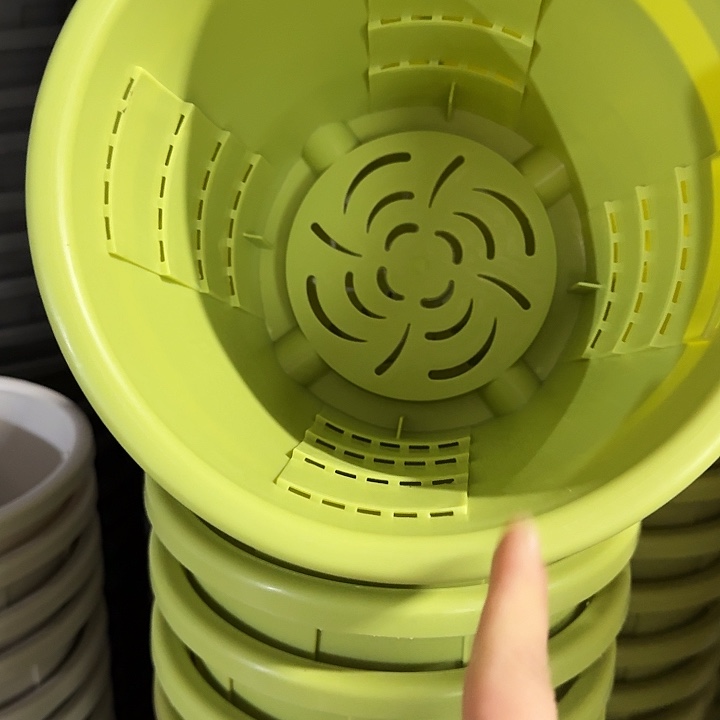 编号601果绿无托5个