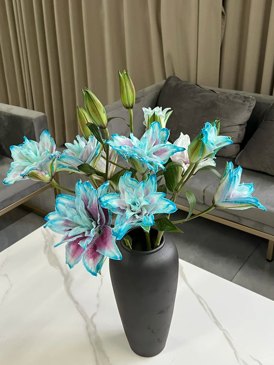 【幻境】重瓣百合 一单包邮 云南鲜花昆明基地现采现发