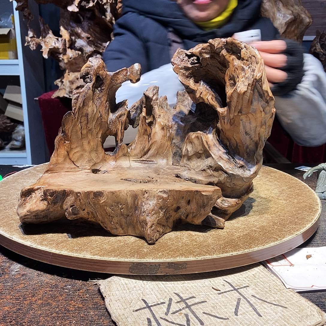 农***杨131。株木随行根艺