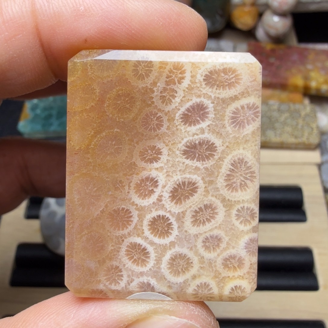 硅化玉未镶嵌纯天然色有机玉石保真色