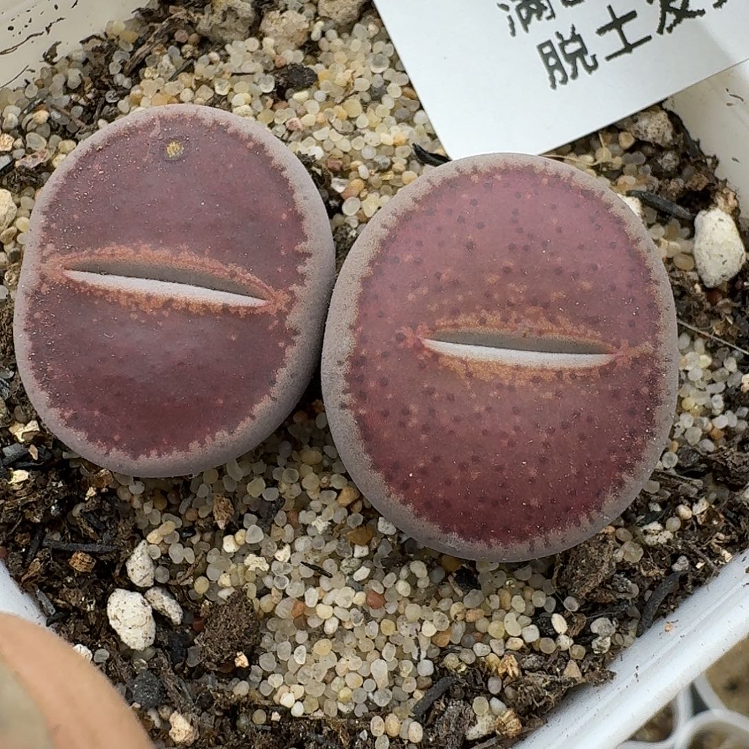 213哈哈哈哈哈哈哈