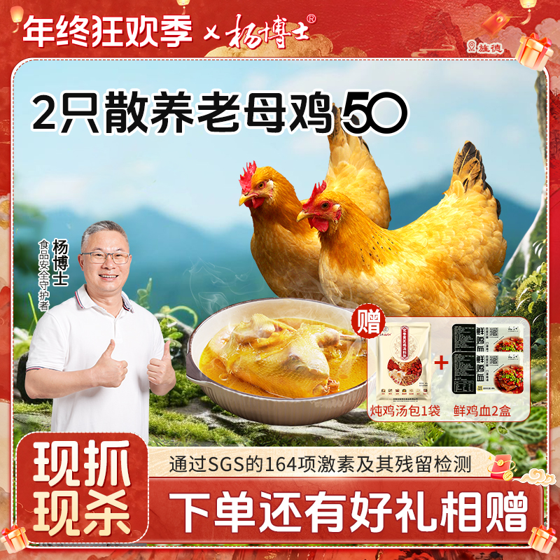 【两只老母鸡（50型-原老款）】杨博士散养土鸡新鲜现杀 包冰率不含冰