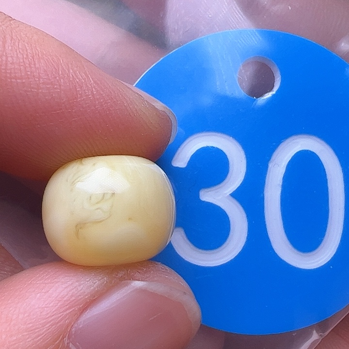 蜜蜡裸石未镶嵌12.5m m