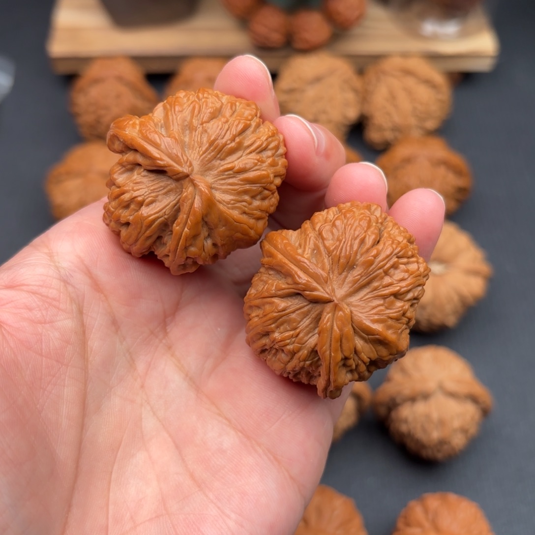 文玩核桃把件白狮子顺风耳41