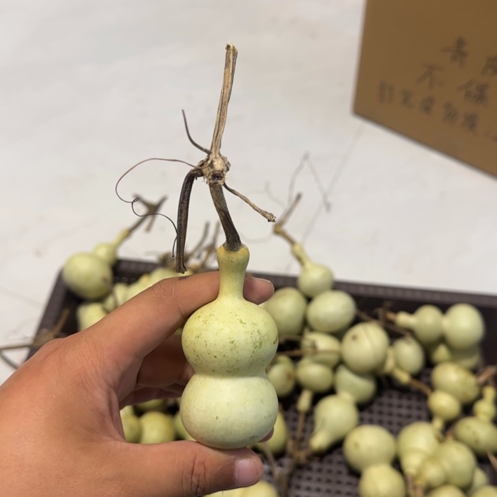 菜***贝感谢大哥支持兄弟，不保成