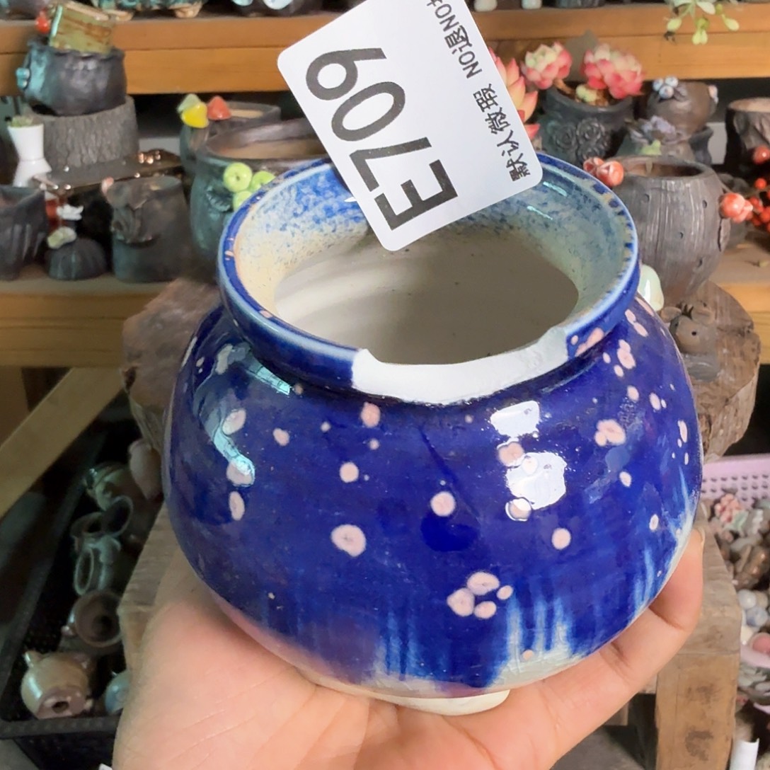 重庆小燕子欢迎大家709