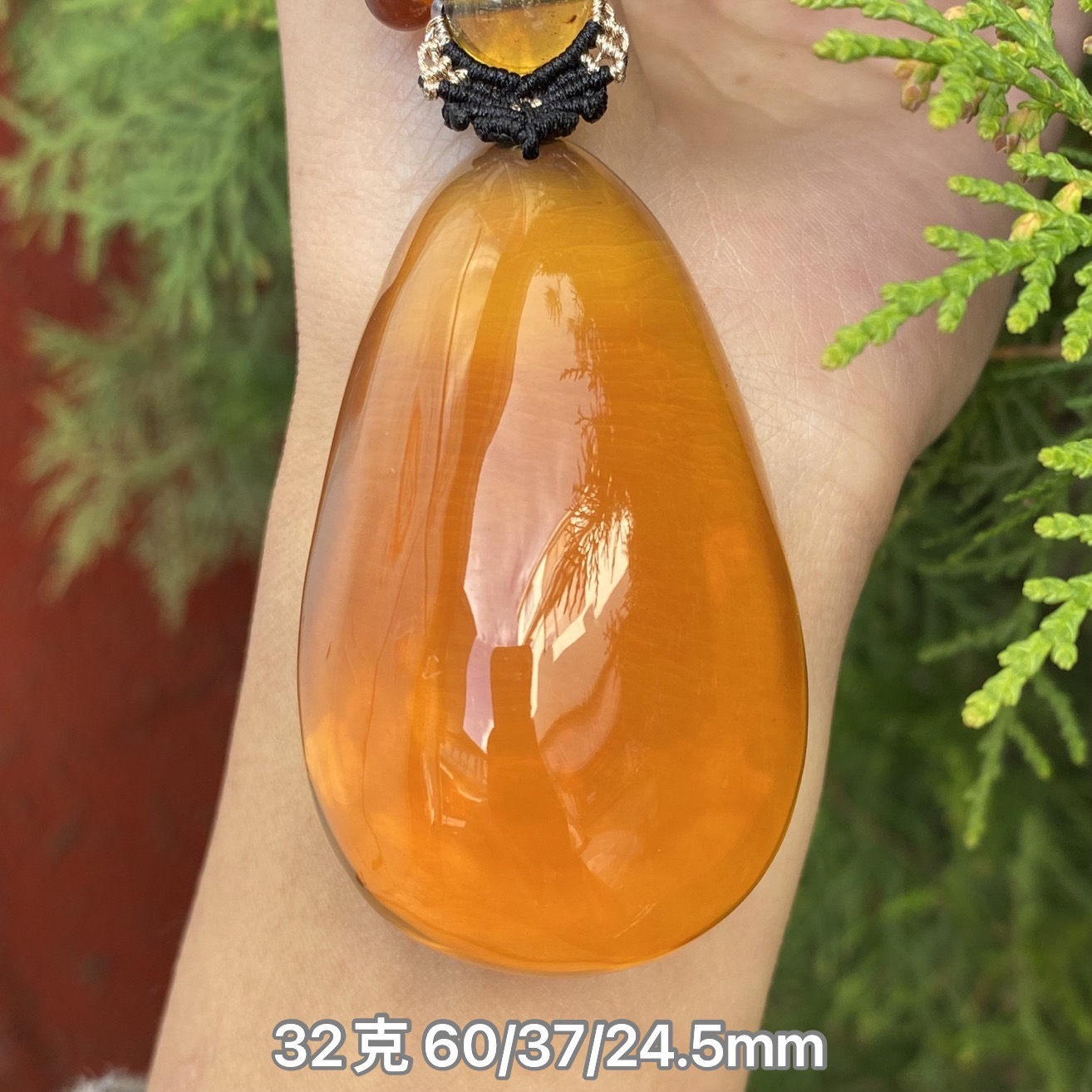 【小伊琥珀】32克黄茶茶蜜水滴