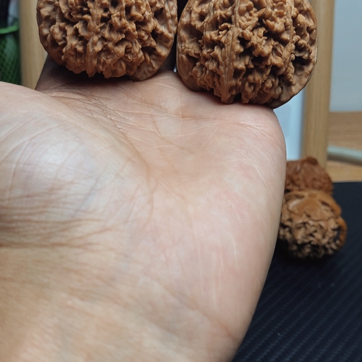 ****猪大叶紫檀（黑酸枝木类）满天星