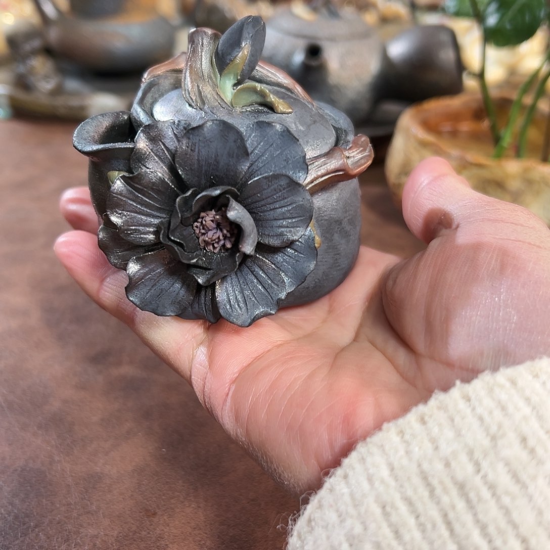 黑牡丹 小迷你可可爱啊