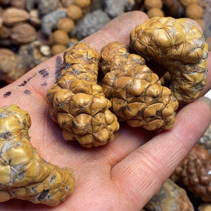 J***Z吊坠桃核东北特产268