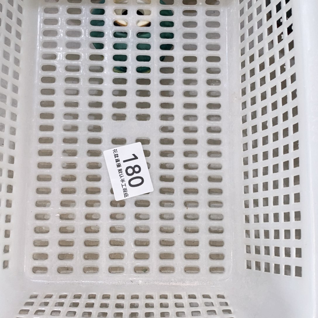 陶瓷花盆花盆花盆大盘盲盒福利