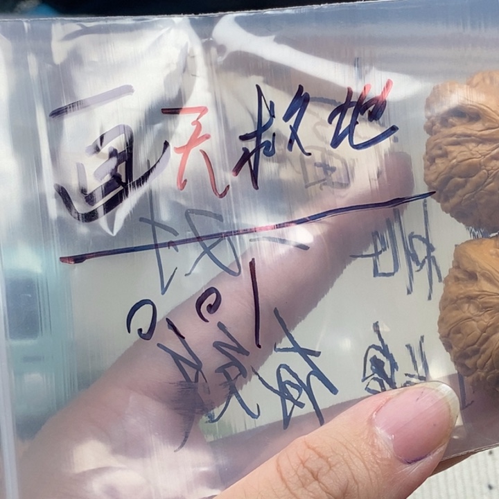 画***地吊坠文玩核桃核桃种植哈哈哈哈哈