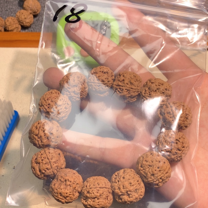 吊坠金刚菩提无**有18。      