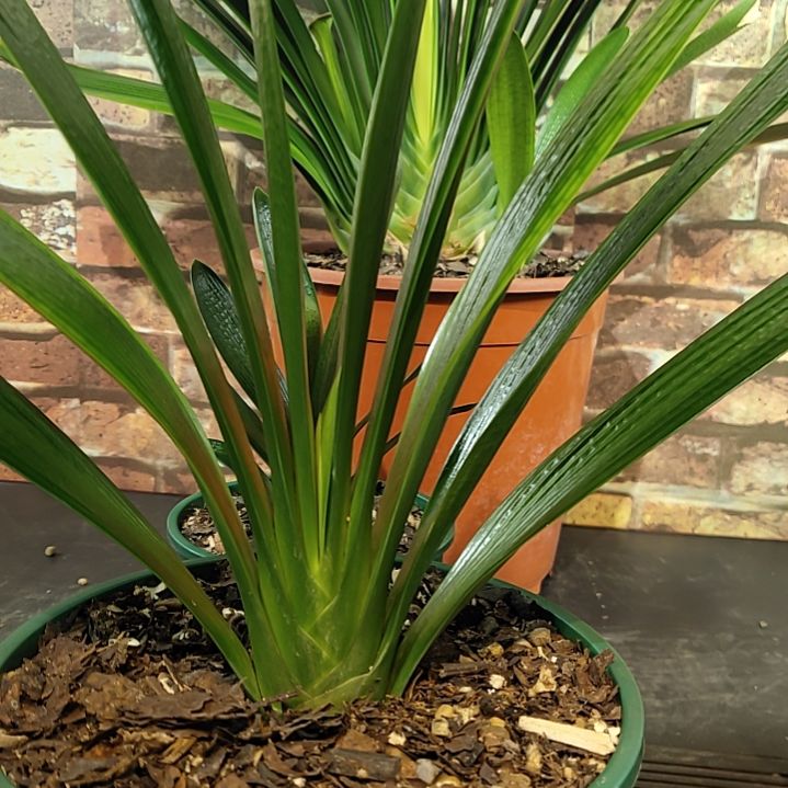 完全开放111111111111