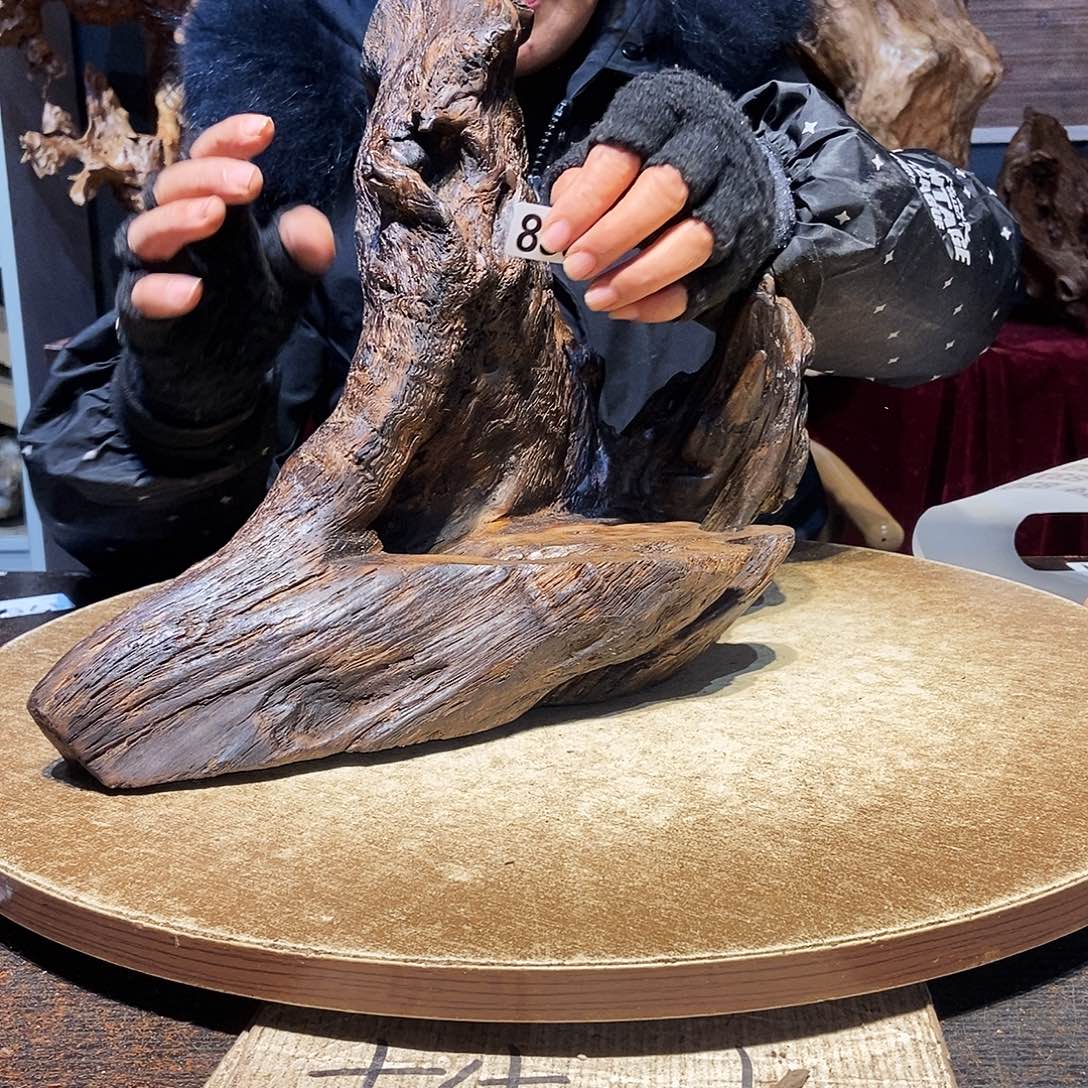 像***局833。株木随行根艺