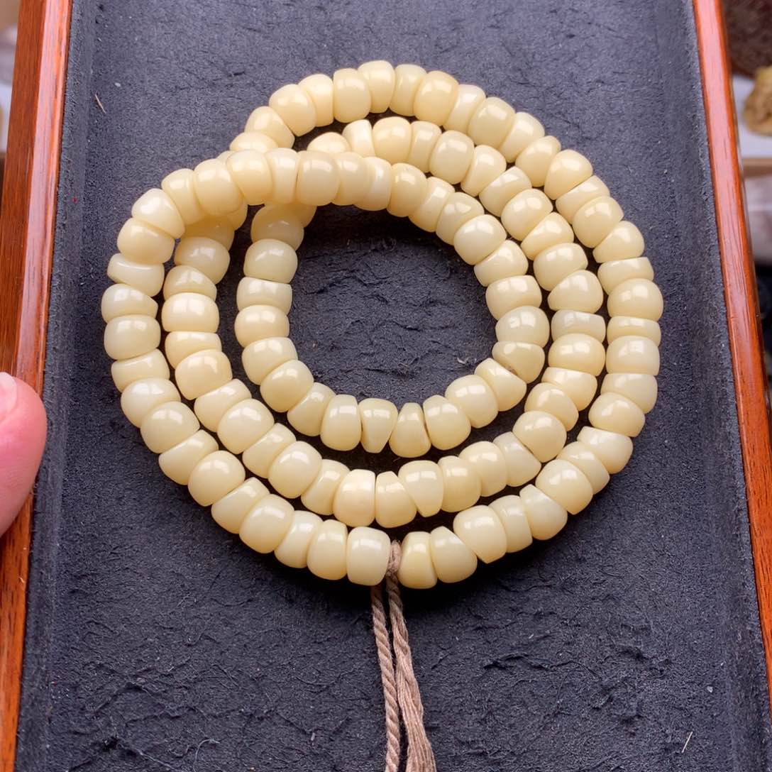 其他驼骨9驼牙大肠108