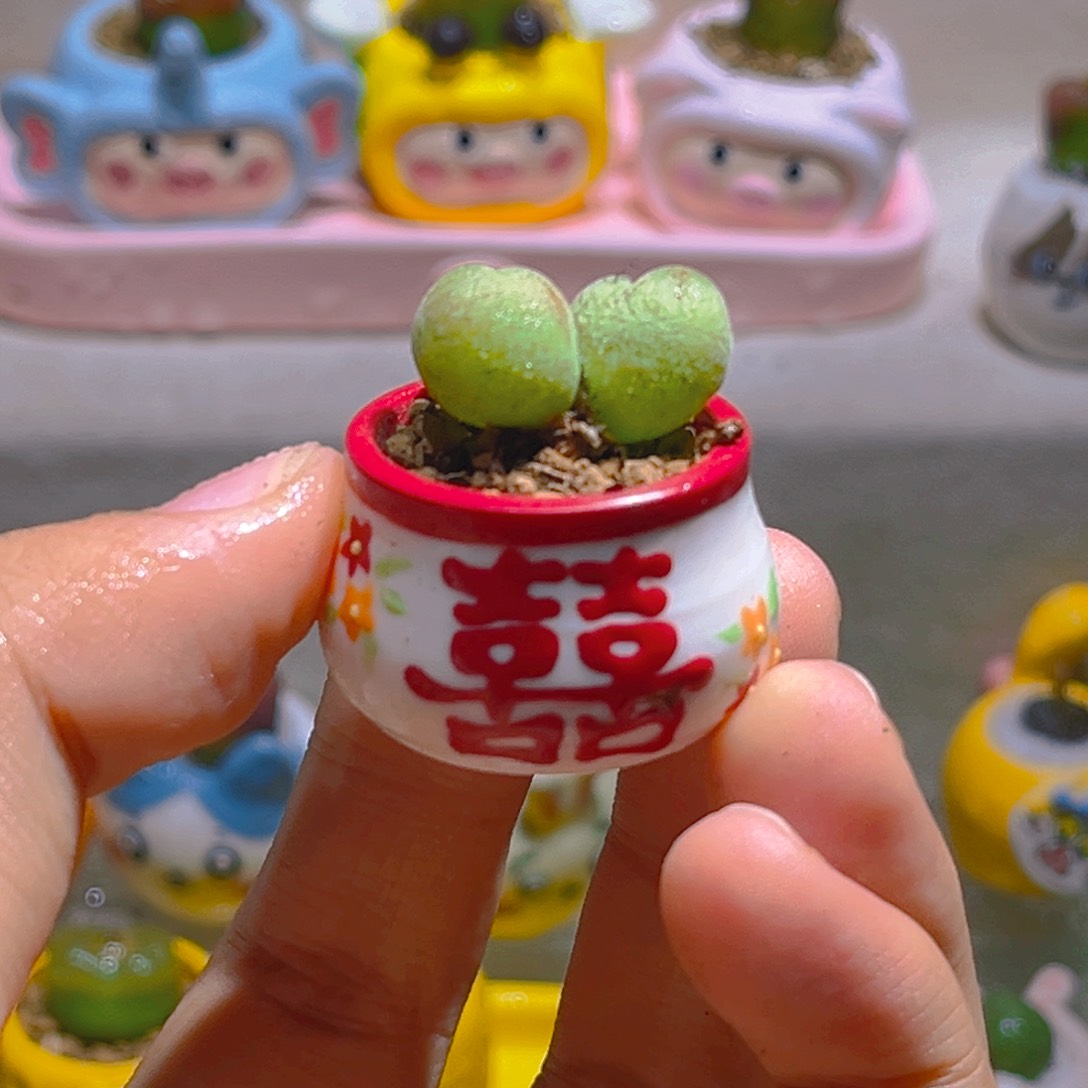 早****起早睡宝贝专属折扣链接拍拍