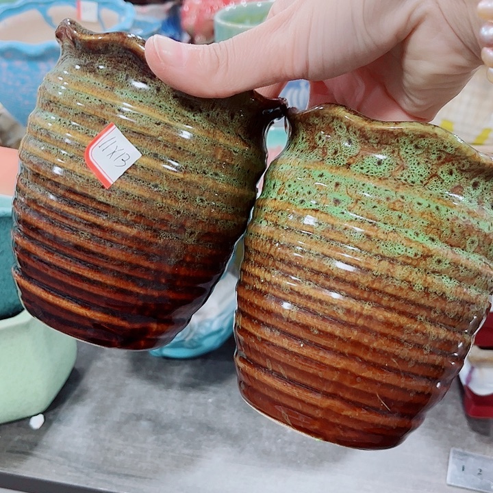 多肉花盆满10元包邮